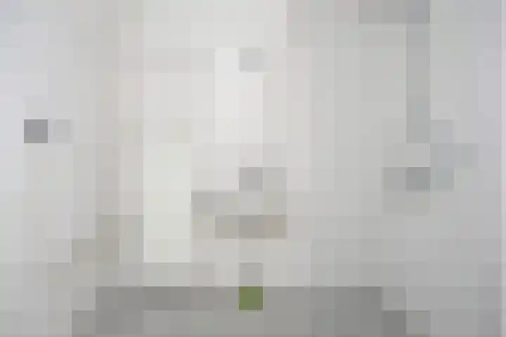 Huibertplaat 23 Zwolle thumbnail 16