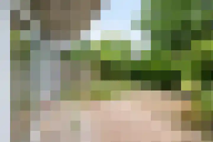 Huibertplaat 23 Zwolle thumbnail 21