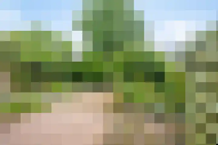 Huibertplaat 23 Zwolle thumbnail 23