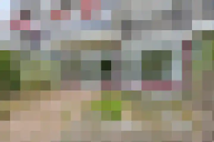 Huibertplaat 23 Zwolle thumbnail 25