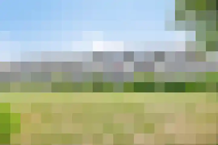 Huibertplaat 23 Zwolle thumbnail 34