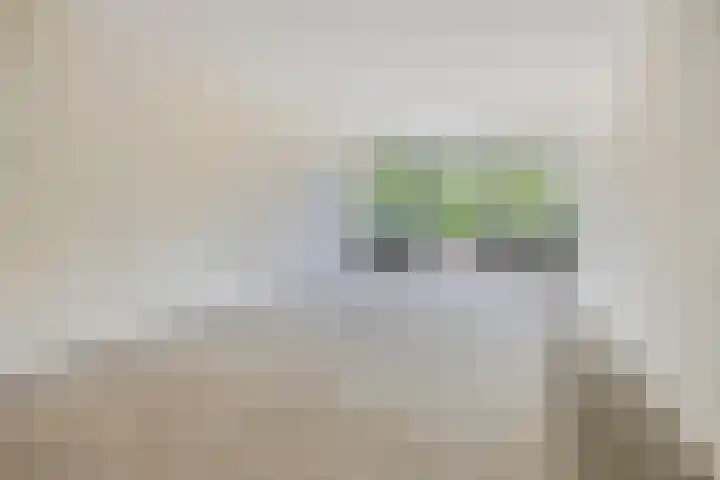Huibertplaat 23 Zwolle thumbnail 6