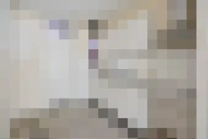 Huibertplaat 23 Zwolle thumbnail 9