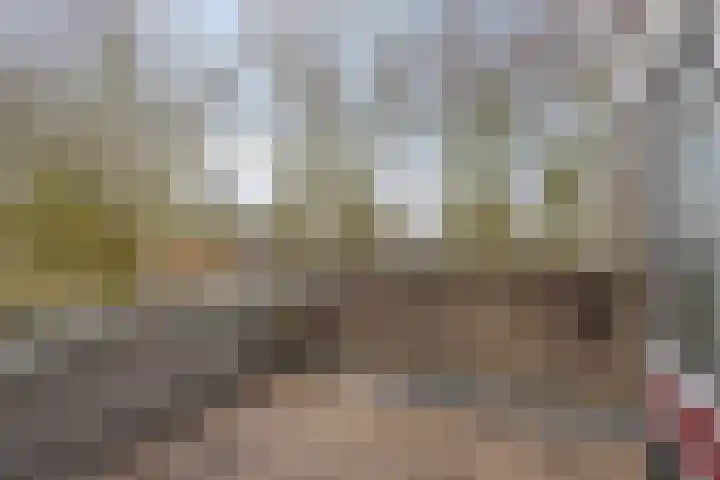 Huibertplaat 37 Zwolle thumbnail 14