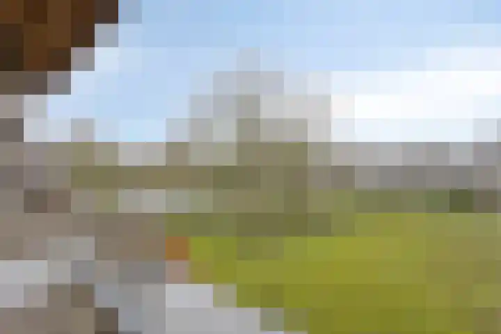 Huibertplaat 37 Zwolle thumbnail 15