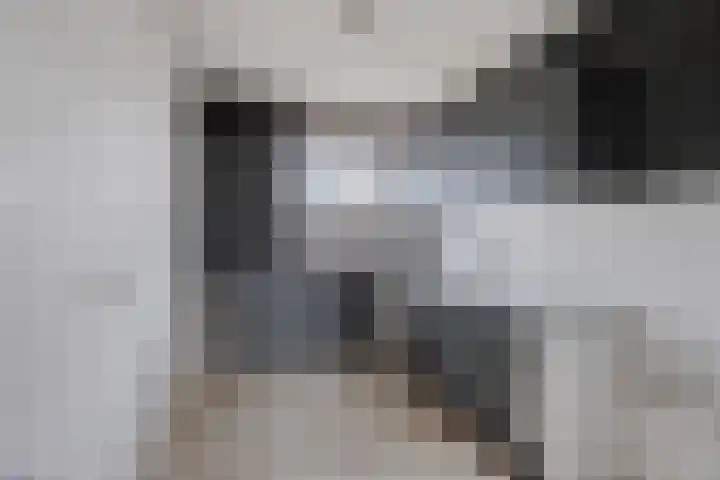 Huibertplaat 37 Zwolle thumbnail 5
