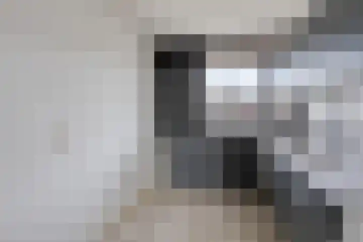 Huibertplaat 37 Zwolle thumbnail 6