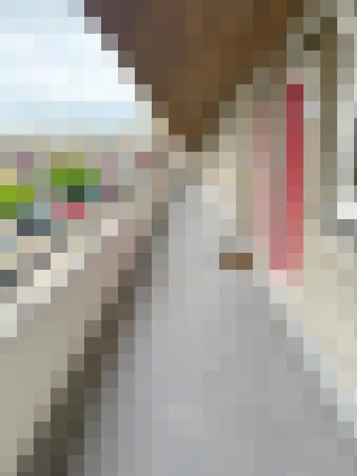 Huibertplaat 47 Zwolle thumbnail 14