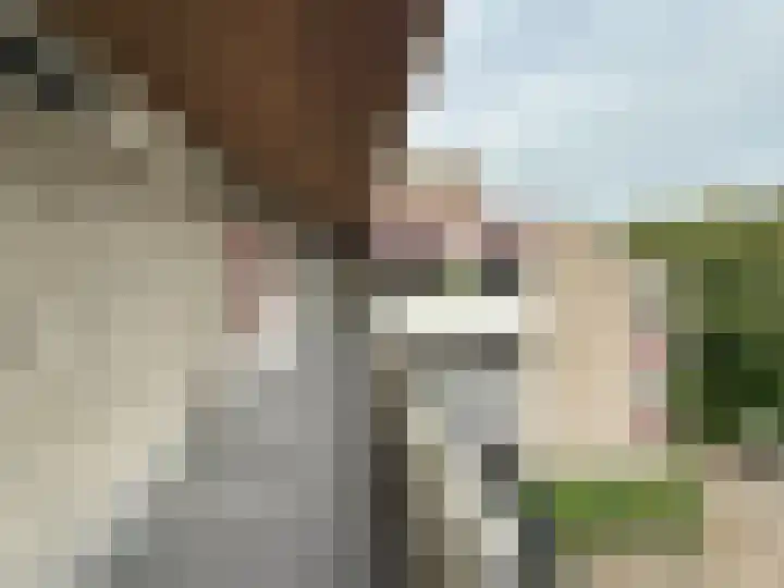 Huibertplaat 47 Zwolle thumbnail 15