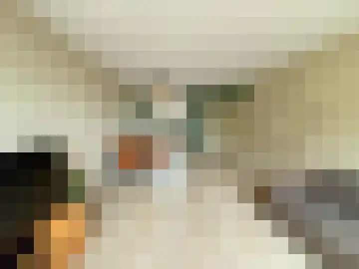 Huibertplaat 47 Zwolle thumbnail 4