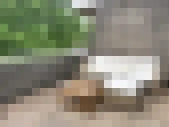 Huibertplaat 47 Zwolle thumbnail 8
