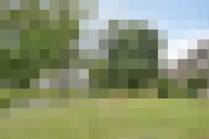 Huibertplaat 53 Zwolle thumbnail 28