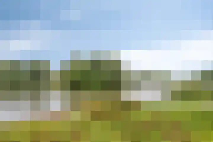 Huibertplaat 53 Zwolle thumbnail 30