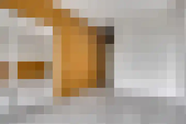 Huibertplaat 53 Zwolle thumbnail 6