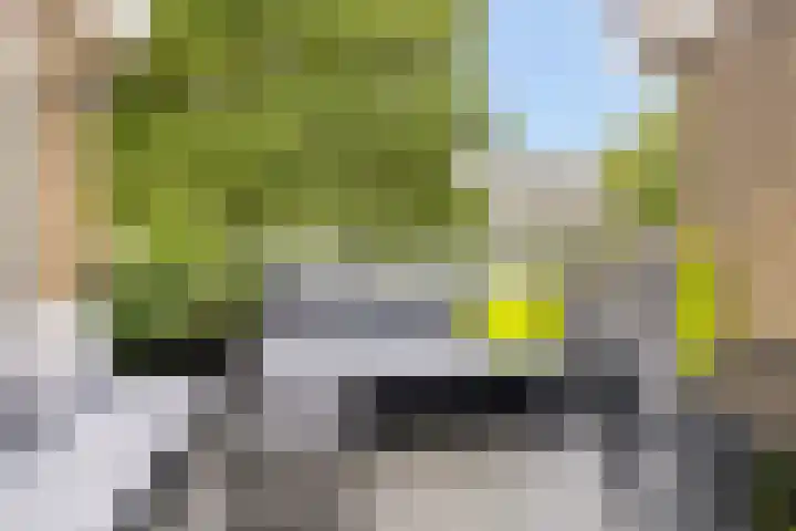 Huibertplaat 61 Zwolle thumbnail 18