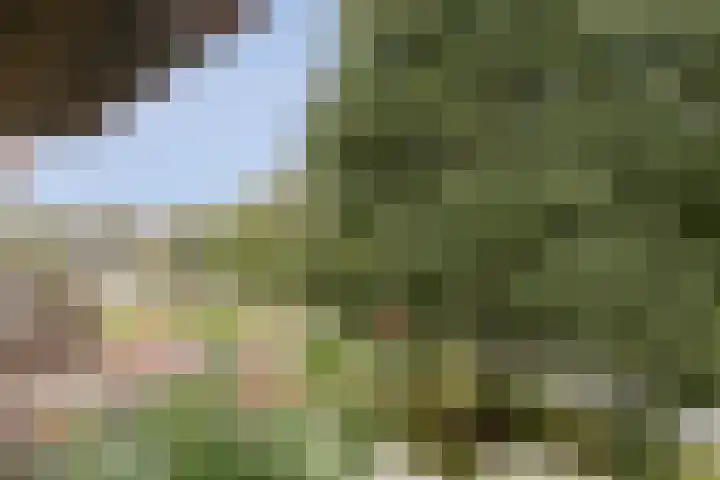 Huibertplaat 61 Zwolle thumbnail 21