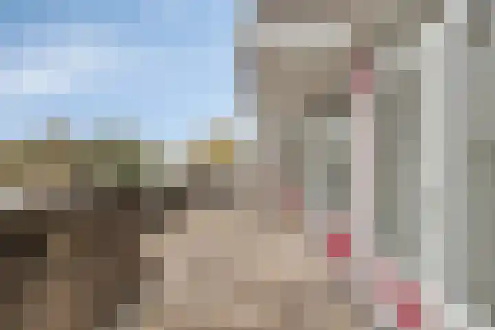Huibertplaat 71 Zwolle thumbnail 13