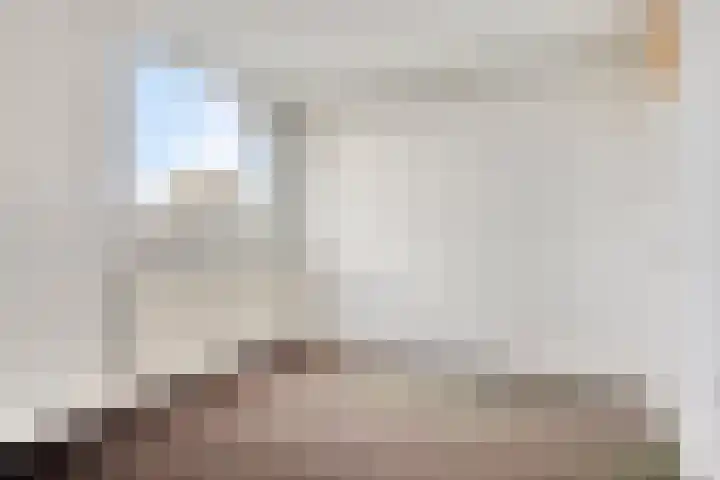 Huibertplaat 85 Zwolle thumbnail 15
