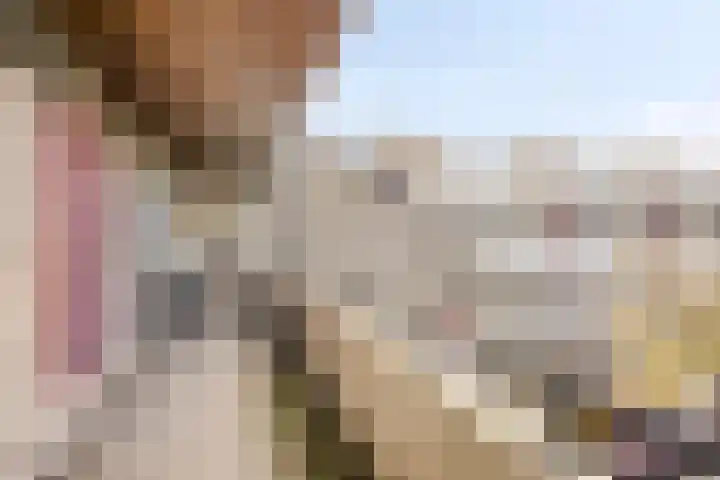 Huibertplaat 85 Zwolle thumbnail 24