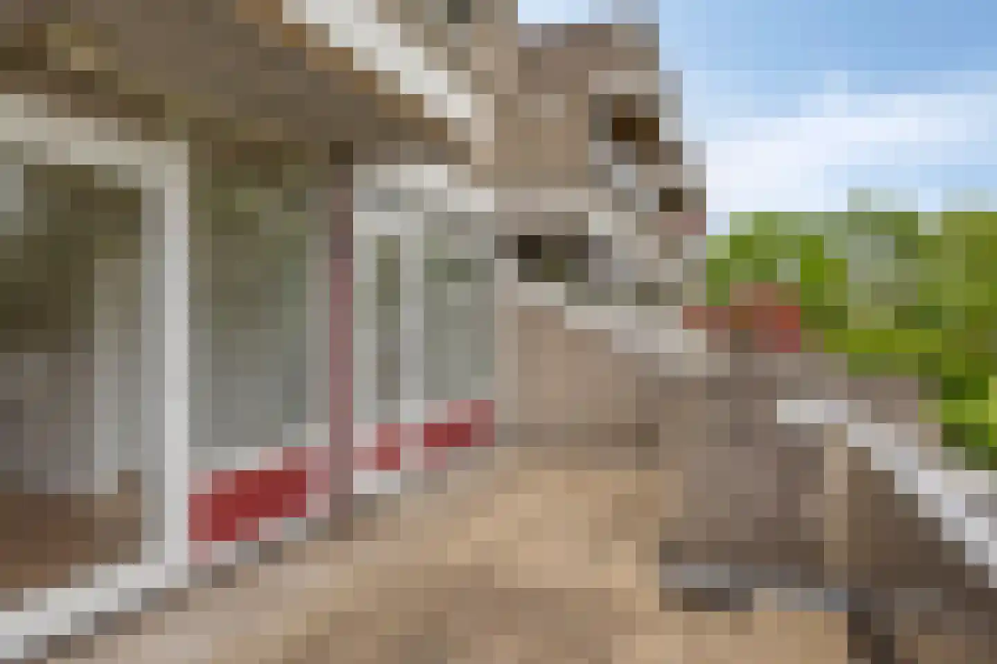 Huibertplaat 92 Zwolle thumbnail 14
