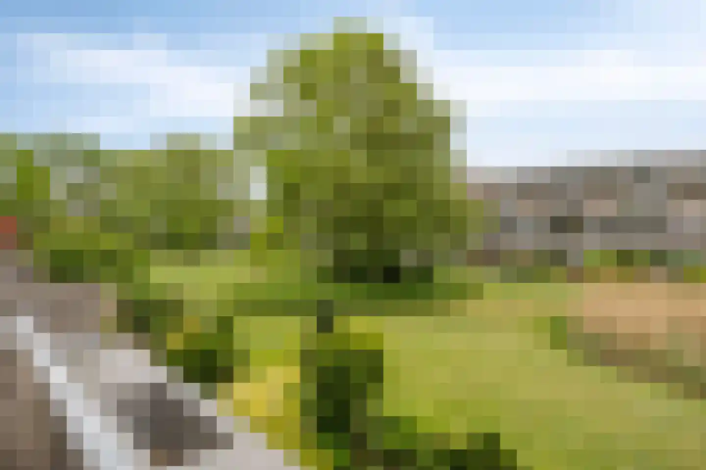 Huibertplaat 92 Zwolle thumbnail 15