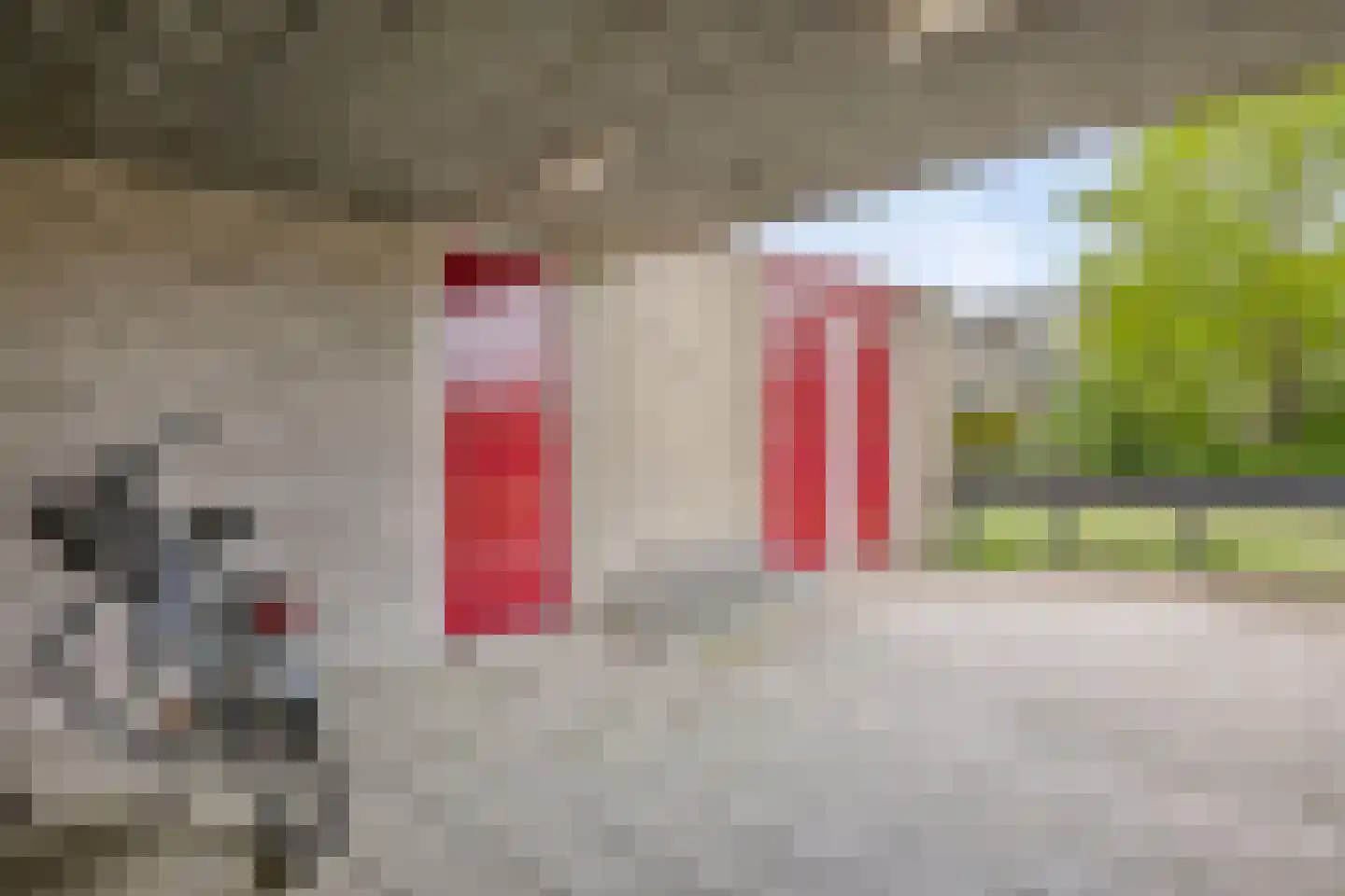 Huibertplaat 92 Zwolle thumbnail 31