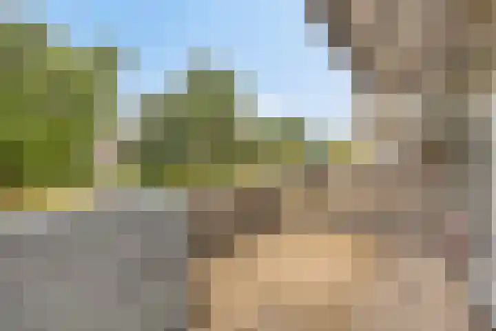 Huibertplaat 99 Zwolle thumbnail 10