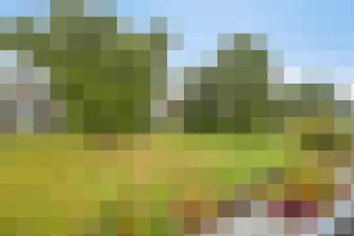 Huibertplaat 99 Zwolle thumbnail 11