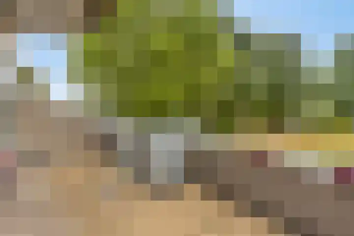 Huibertplaat 99 Zwolle thumbnail 12