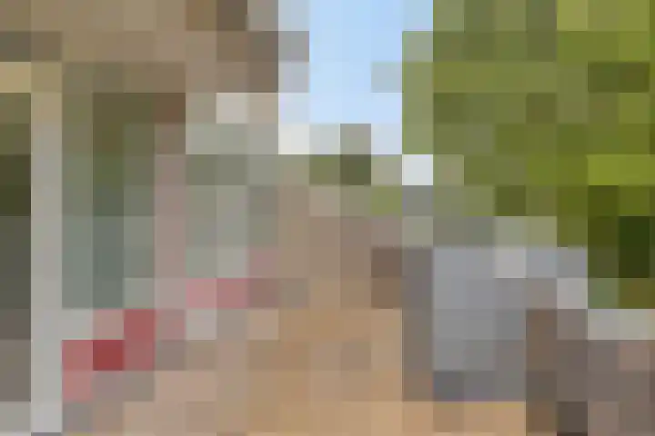 Huibertplaat 99 Zwolle thumbnail 13