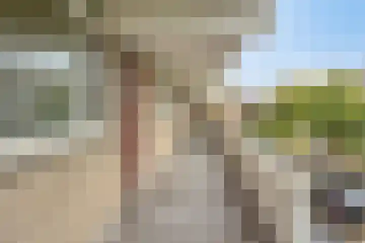 Huibertplaat 99 Zwolle thumbnail 22