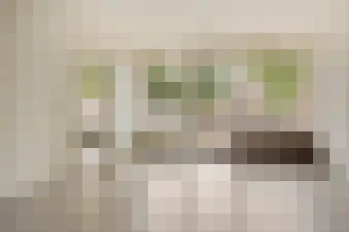 Huibertplaat 99 Zwolle thumbnail 9