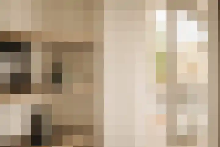 Huidekoperstraat 24 N Amsterdam thumbnail 8
