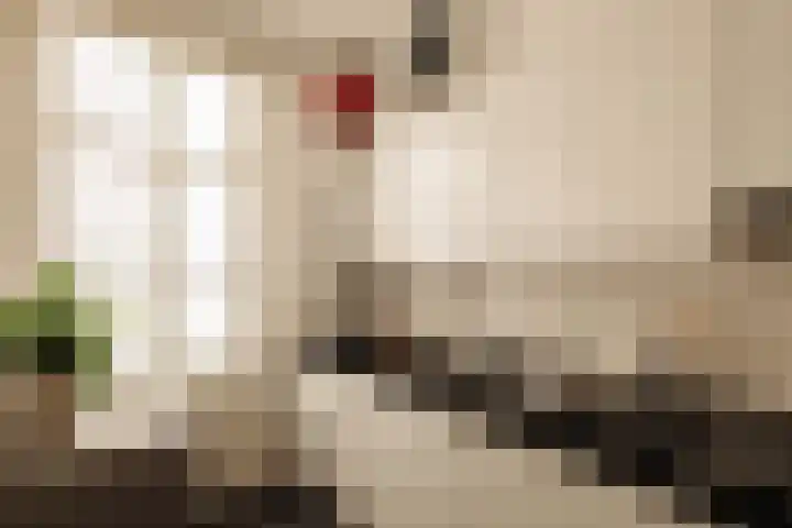 Huidekoperstraat 5 1 Amsterdam thumbnail 8