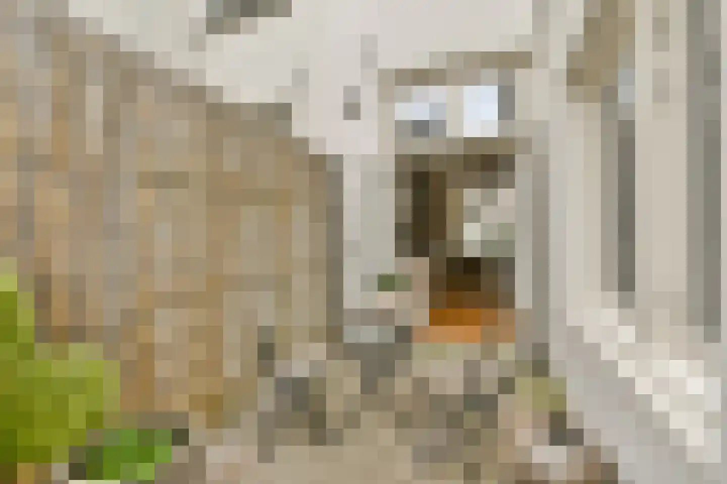 Huidekoperstraat 7 H Amsterdam thumbnail 18