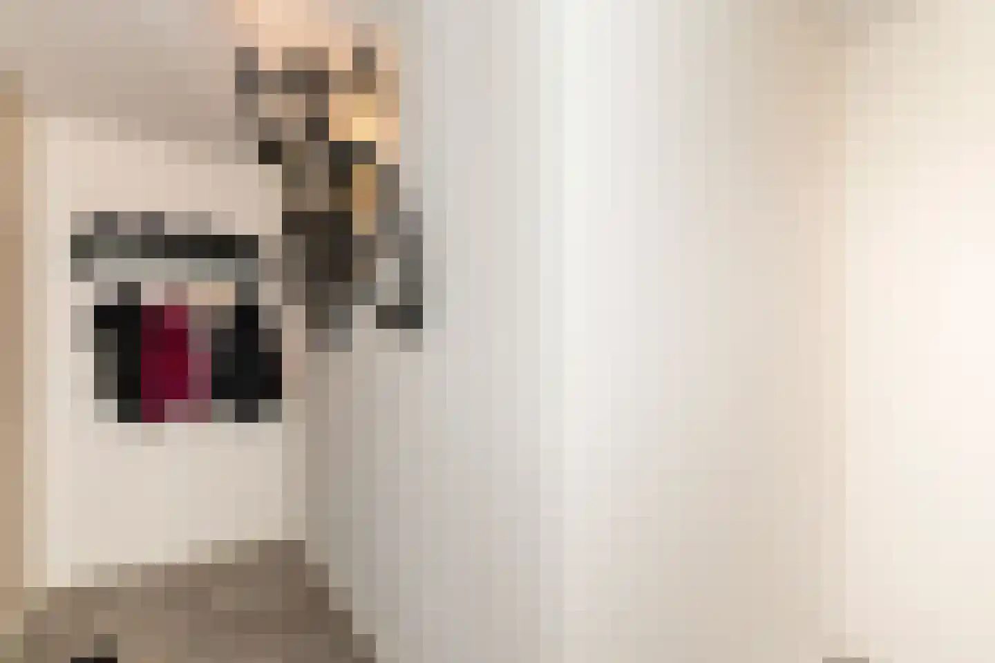 Huidenclubplein 106 Rotterdam thumbnail 10