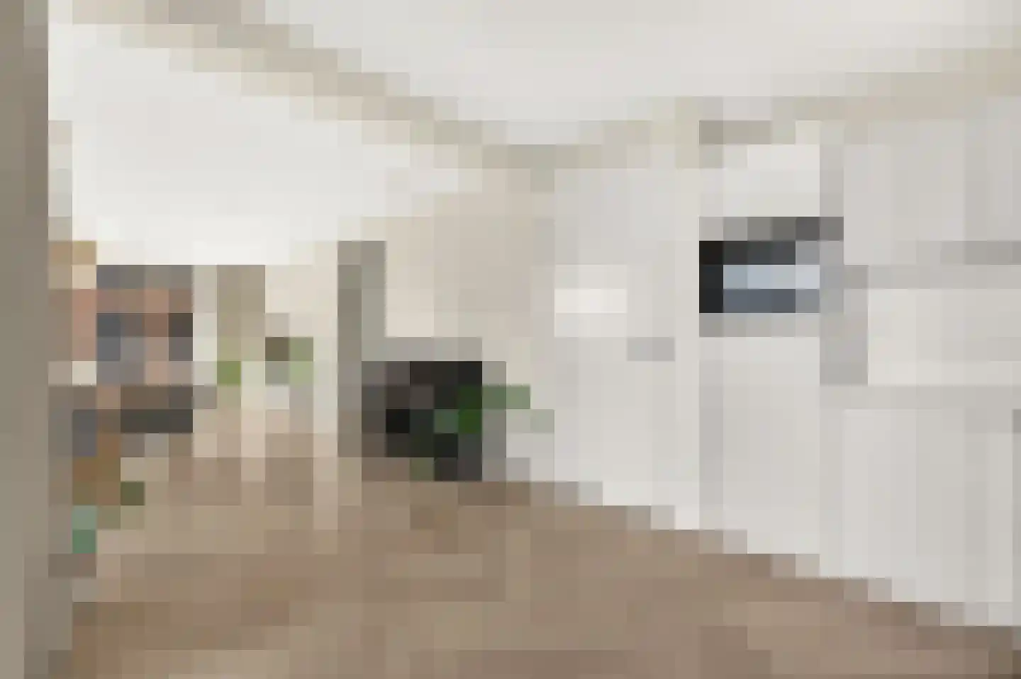 Huidenclubplein 126 Rotterdam thumbnail 14