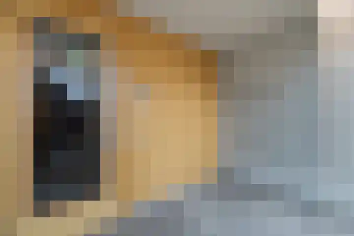 Huidenclubplein 172 Rotterdam thumbnail 36