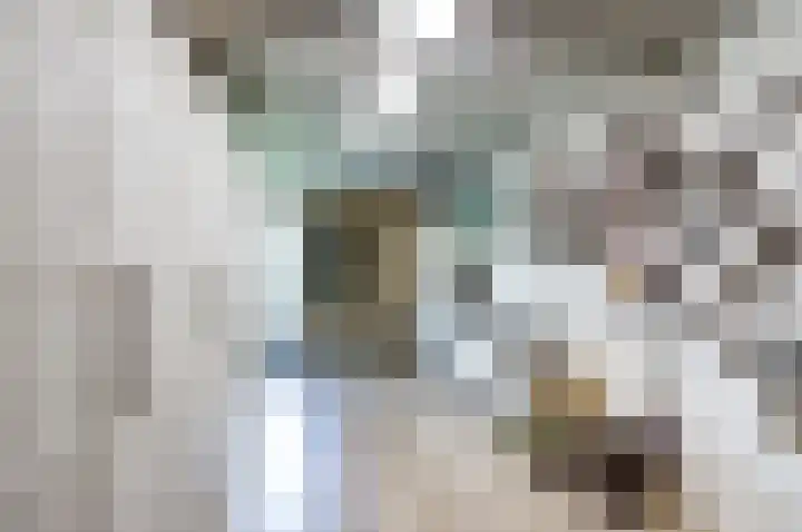 Huidenkopersgilde 2 Dronten thumbnail 16