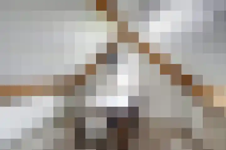 Huidenkopersgilde 2 Dronten thumbnail 27