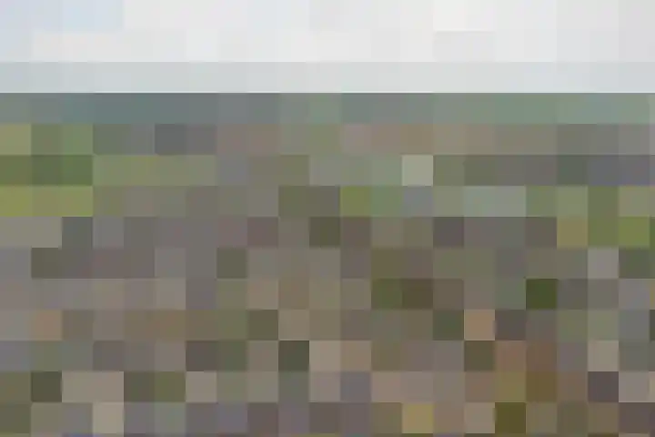 Huidenkopersgilde 2 Dronten thumbnail 35