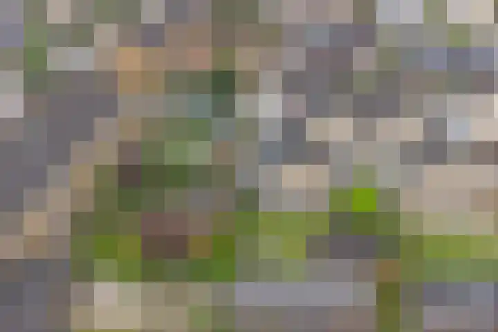 Huidenkopersgilde 2 Dronten thumbnail 36