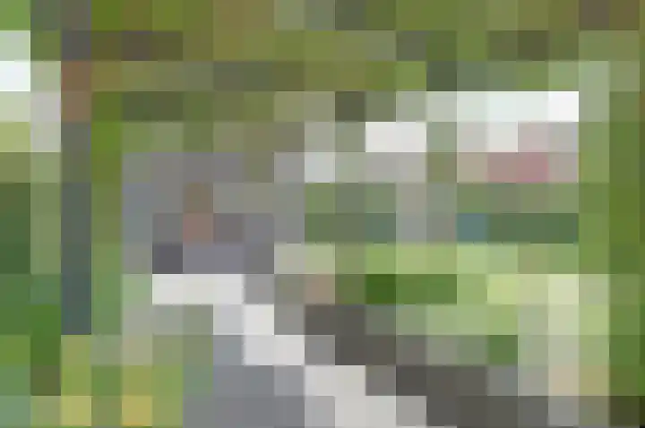 Huidenkopersgilde 2 Dronten thumbnail 39