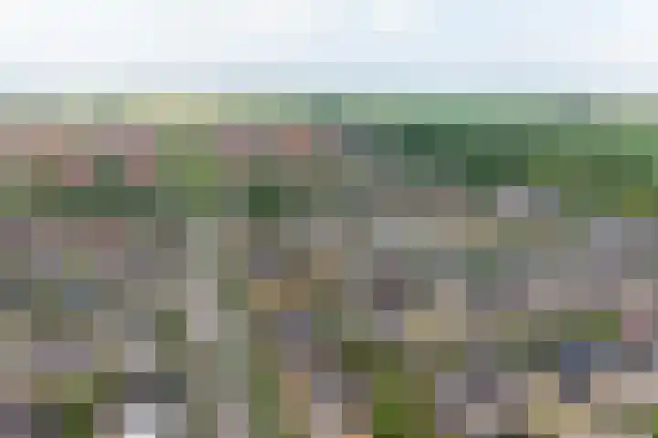 Huidenkopersgilde 2 Dronten thumbnail 42