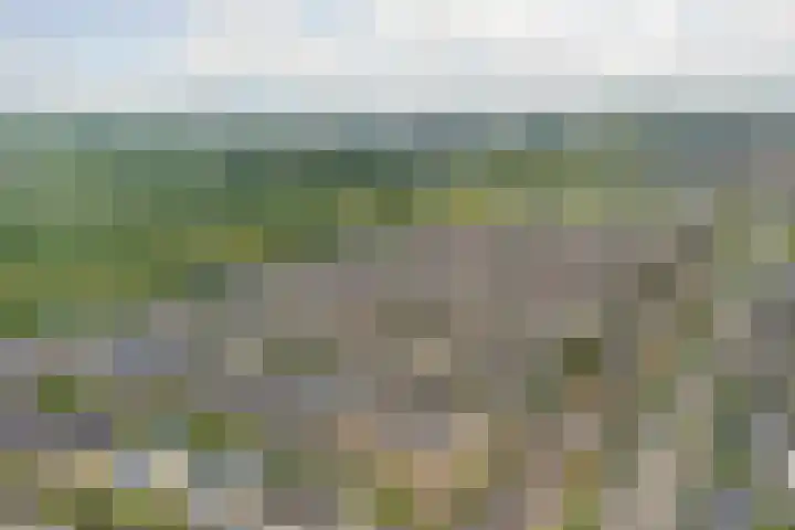 Huidenkopersgilde 2 Dronten thumbnail 43