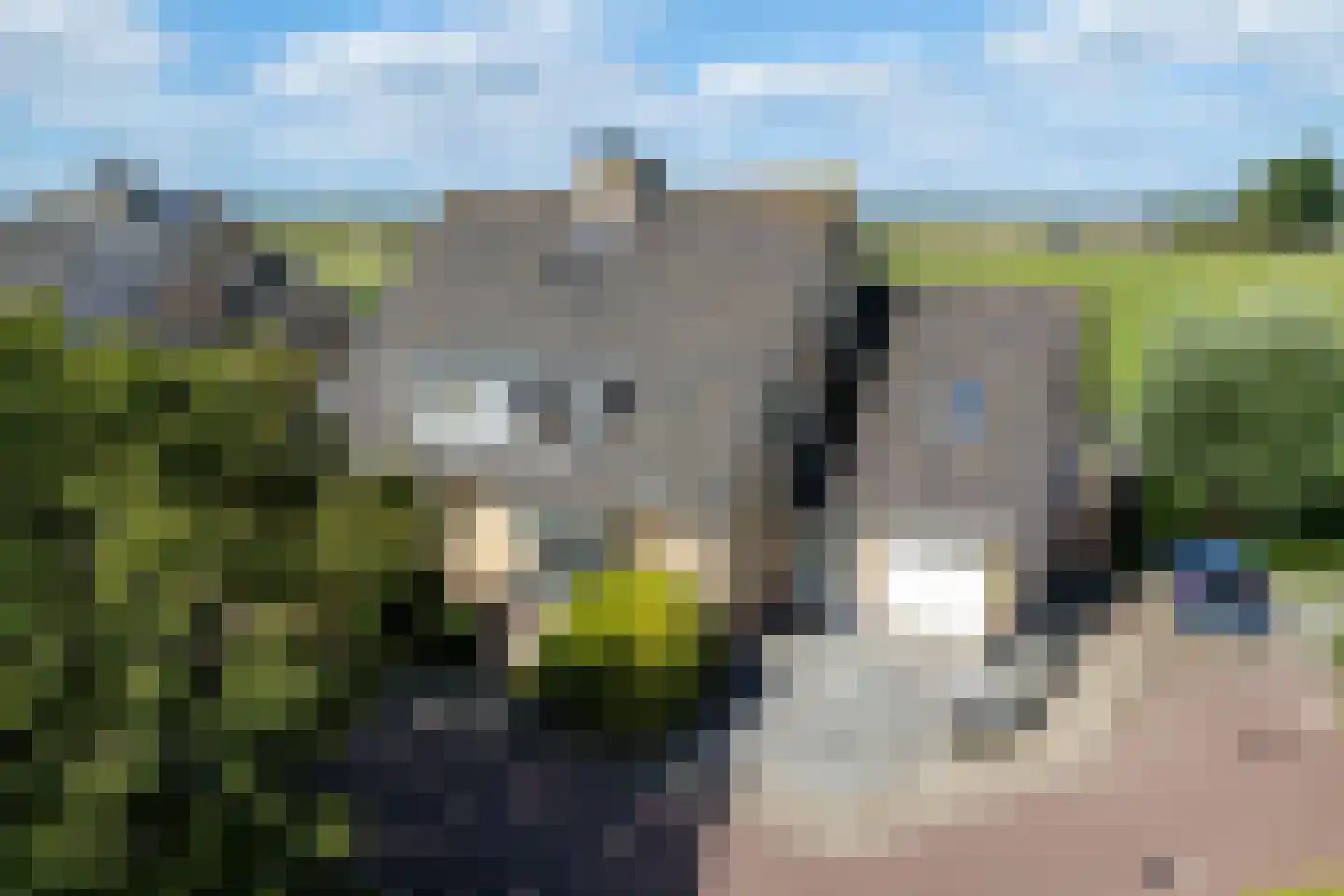Huifkar 29 Sassenheim