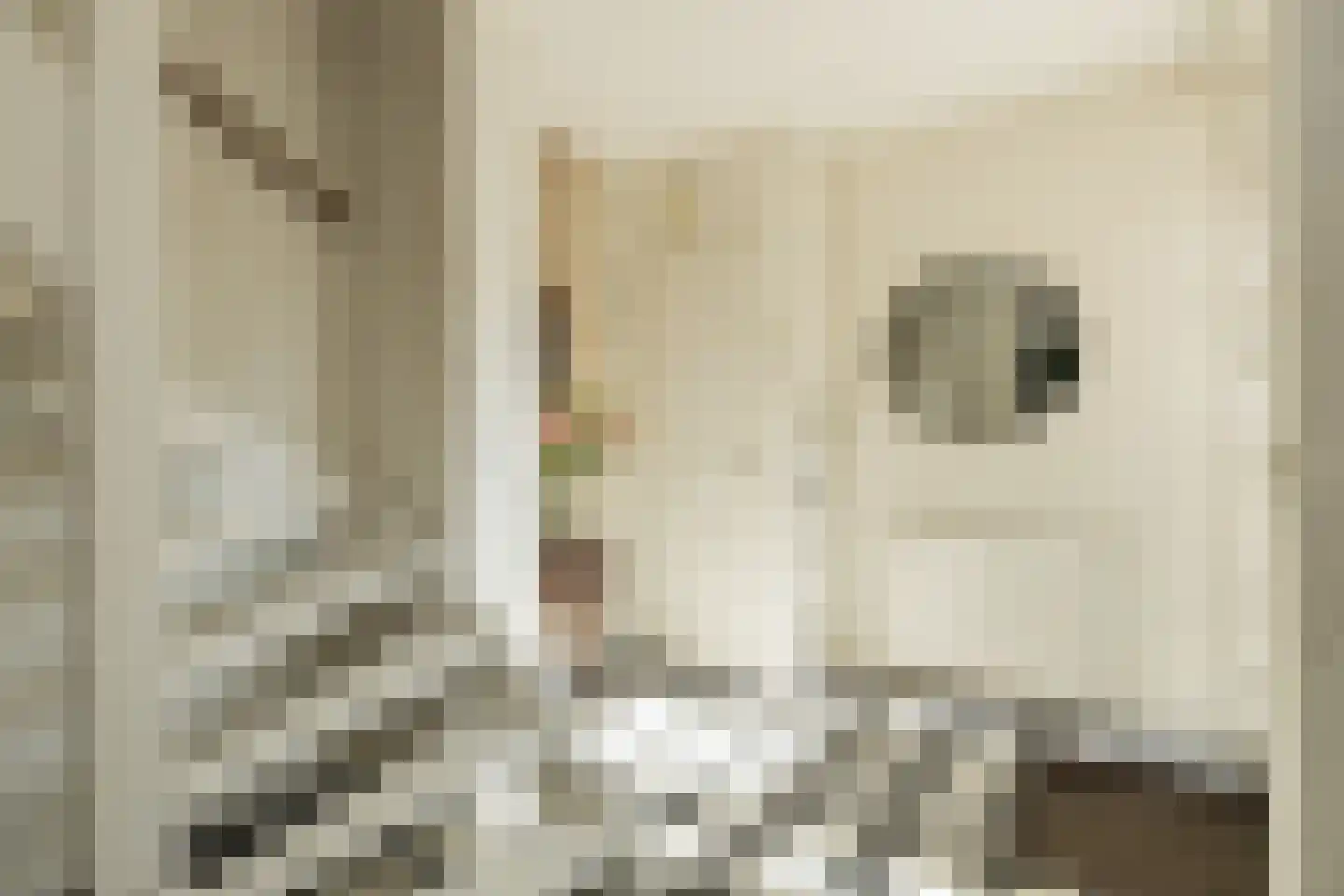 Huifkar 29 Sassenheim thumbnail 10