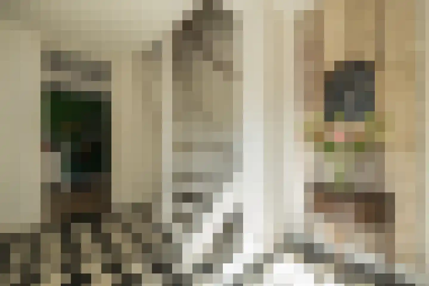 Huifkar 29 Sassenheim thumbnail 11
