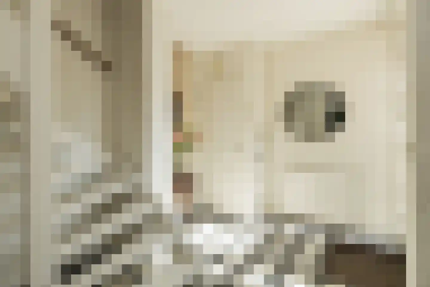 Huifkar 29 Sassenheim thumbnail 11