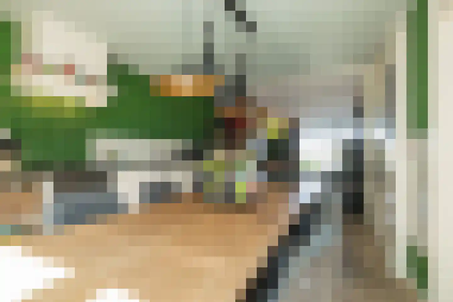 Huifkar 29 Sassenheim thumbnail 13